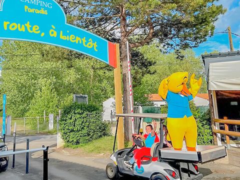 Camping Paradis les Pins - Royan - Camping Charente-Maritime