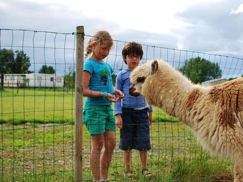 Camping La Dive - Camping Vendée
