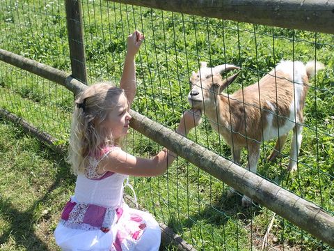 Camping Paradis d'Utah Beach - Camping Manche