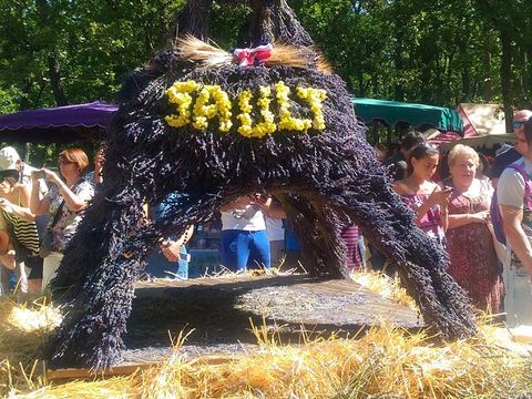 Camping Du Défends  - Camping Vaucluse