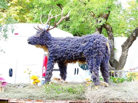 Camping Du Défends  - Camping Vaucluse