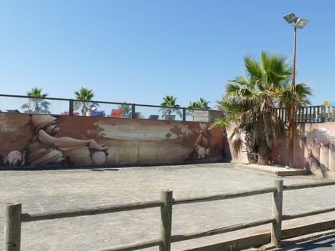 Camping Bleu Marine   - Camping Hérault