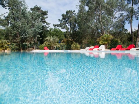 Nicoll's Camp/Pins - Camping Gironde
