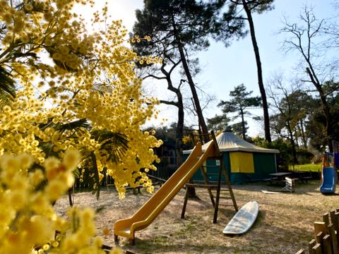 Nicoll's Camp/Pins - Camping Gironde