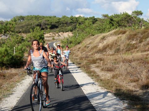 Nicoll's Camp/Pins - Camping Gironde