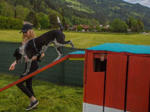 Camping Bella Austria - Camping Styrie