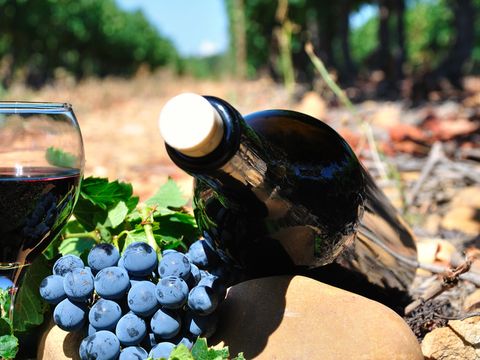 Camping Château de la Rolandière - Camping Indre-et-Loire