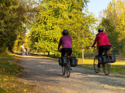 Camping Kanopée Village  - Camping Ain