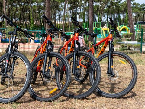 Camping Club Les Tourterelles 4* - MS VACANCES - Camping Landes