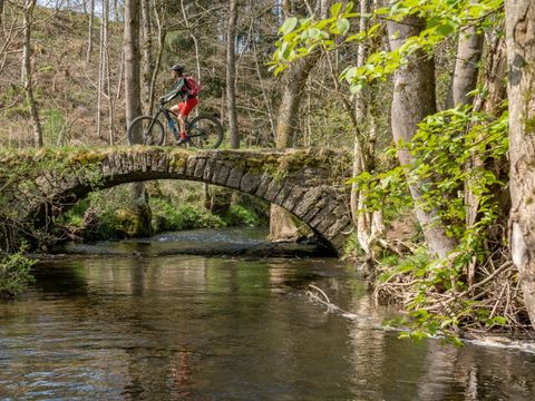 Camping La Colline - Camping Luxembourg - Image N°18