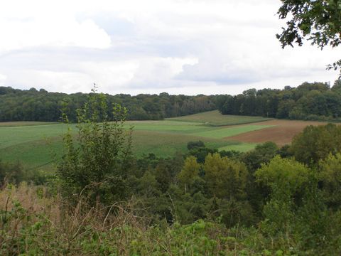 Camping La Colline - Camping Luxembourg - Image N°33