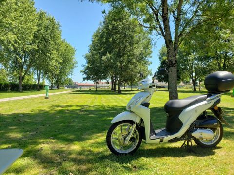 Camping de l'Arquebuse - Camping Côte-d'Or