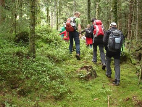 Camping Sites et Paysages - Au Clos de la Chaume - Camping Vosges