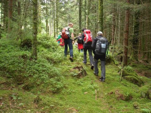 Camping Sites et Paysages - Au Clos de la Chaume - Camping Vosges