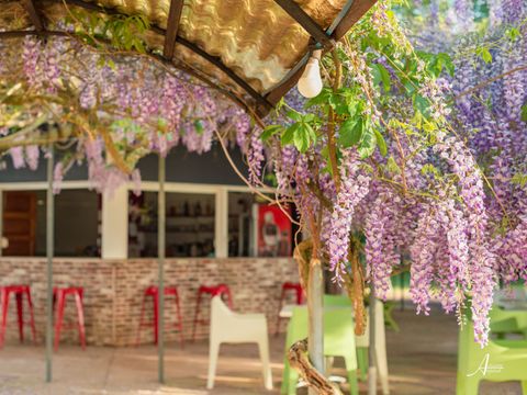 Camping U Casone - Camping Corse du Nord
