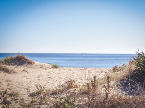 Camping de la Plage - Camping Pyrénées-Orientales