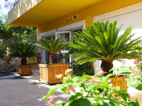 Camping International - Camping Var - Image N°2