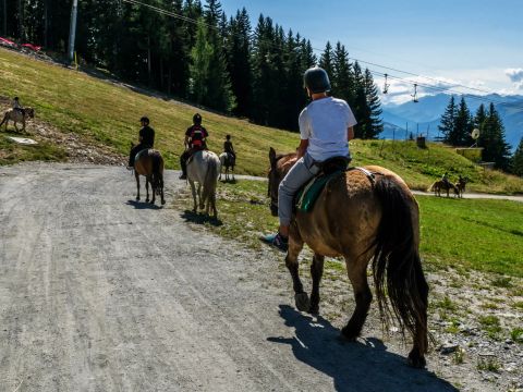 Camping Sainte Victoire - Camping Bouches-du-Rhône