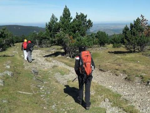 Bivouac nature - Camping Gard