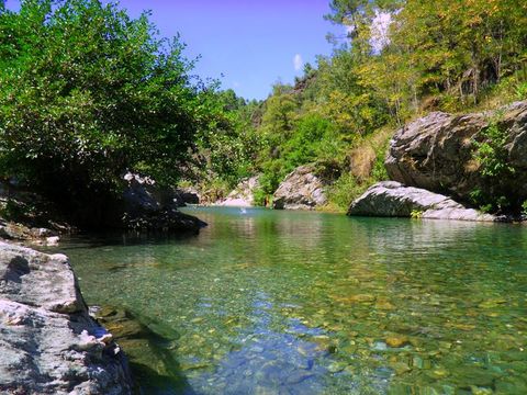 Bivouac nature - Camping Gard