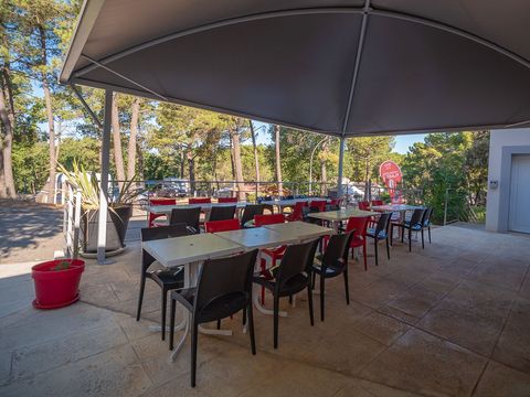 Camping La Pinède en Provence - Camping Vaucluse