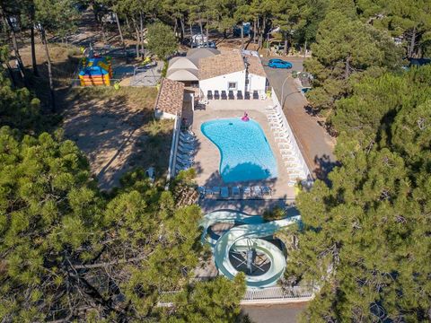 Camping La Pinède en Provence - Camping Vaucluse