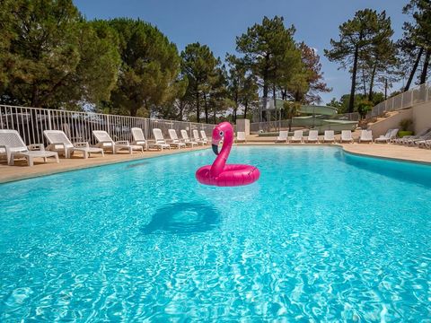 Camping La Pinède en Provence - Camping Vaucluse