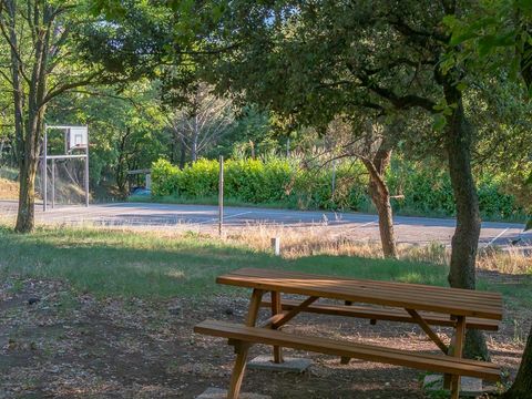 Camping La Pinède en Provence - Camping Vaucluse