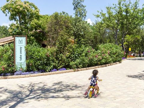 hu Montescudaio village - Camping Pise