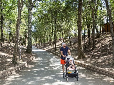 hu Montescudaio village - Camping Pise