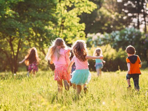 Les Chalets de la Noyeraie - Camping Dordogne