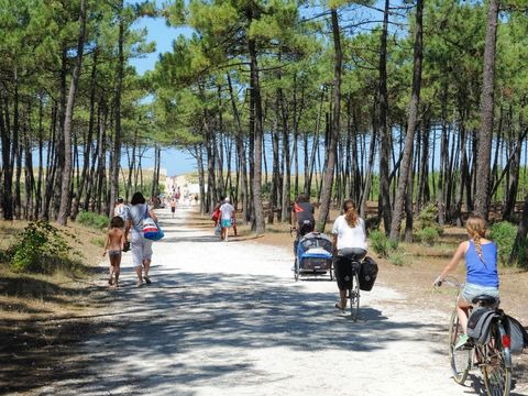 Camping Les Gros Joncs - Camping Charente-Maritime