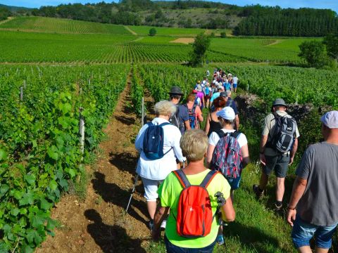Flower Camping Lac de Saint-Point Lamartine - Camping Saône-et-Loire