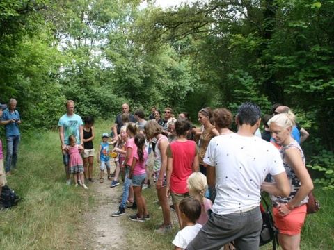 Camping Ushuaïa Villages Au Bois Joli - Camping Yonne