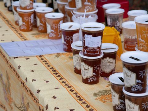 Camping L'Orangerie de Beauregard - Camping Indre-et-Loire