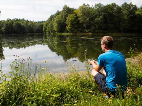 Camping Domaine des Messires - Camping Vosges