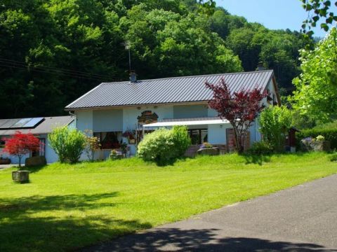 Camping Municipal Les Verts Bois - Camping Haut-Rhin