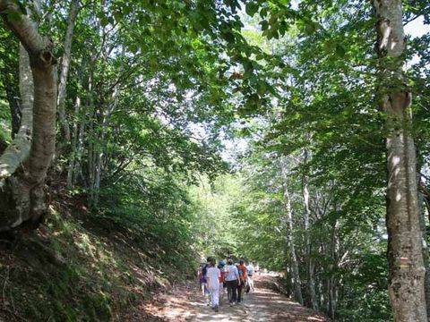 Ushuaïa Villages - Domaine de Ravel - Camping Gard