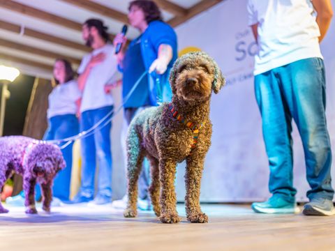 Marina Romea Easy Camping Village - Camping Ravenne