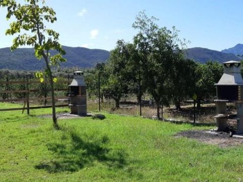 Camping La Naranja - Camping Valence