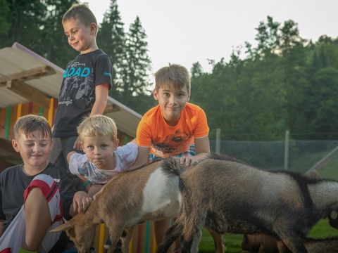 Kleinenzhof Family Resort - Camping Bade-Wurtemberg - Image N°2