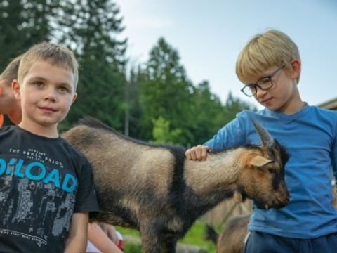 Kleinenzhof Family Resort - Camping Bade-Wurtemberg - Image N°5