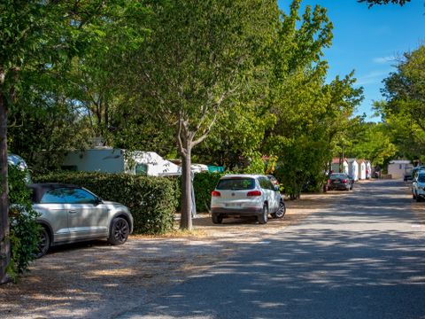 Camping La Pinède - Camping Alpes-de-Haute-Provence - Image N°4