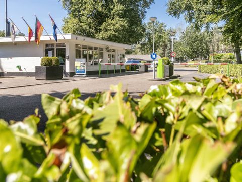 Vakantiepark de Bergen - Camping Sint Anthonis - Image N°30