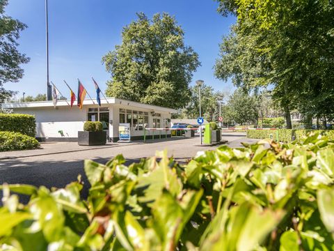 Vakantiepark de Bergen - Camping Sint Anthonis - Image N°31