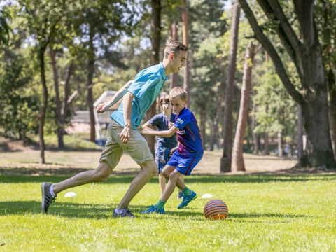 Vakantiepark de Bergen - Camping Sint Anthonis - Image N°52