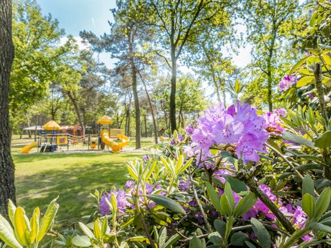 Vakantiepark de Bergen - Camping Sint Anthonis - Image N°50