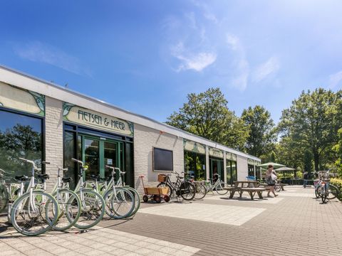Vakantiepark de Bergen - Camping Sint Anthonis - Image N°35
