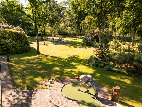 Vakantiepark de Bergen - Camping Sint Anthonis - Image N°89