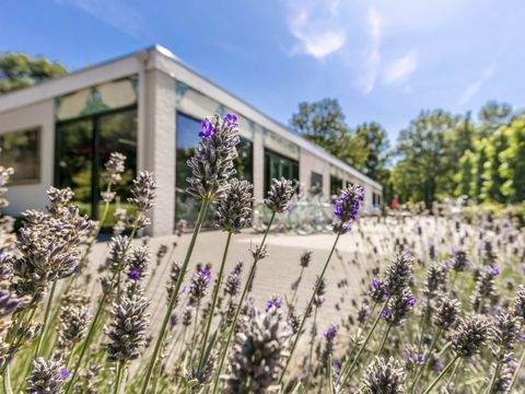Vakantiepark de Bergen - Camping Sint Anthonis - Image N°34